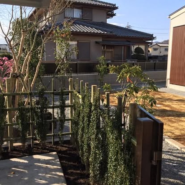 住宅前の庭木と外構まわり