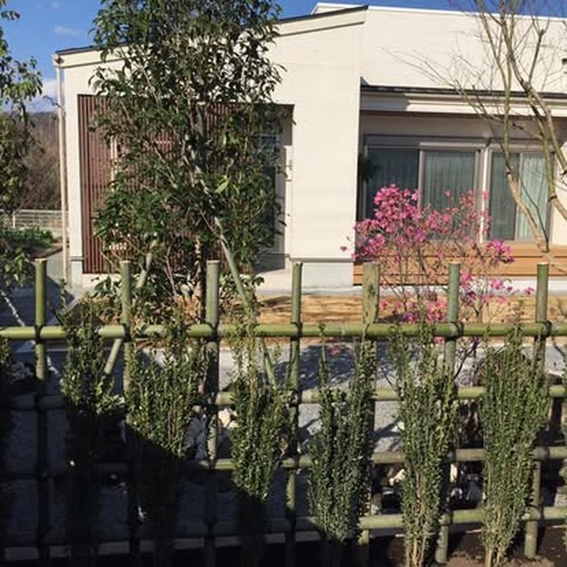 植栽と住宅外まわり